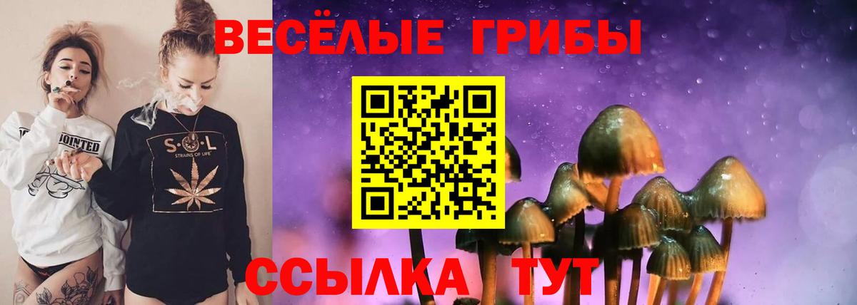Псилоцибиновые грибы ЛСД Новочебоксарск